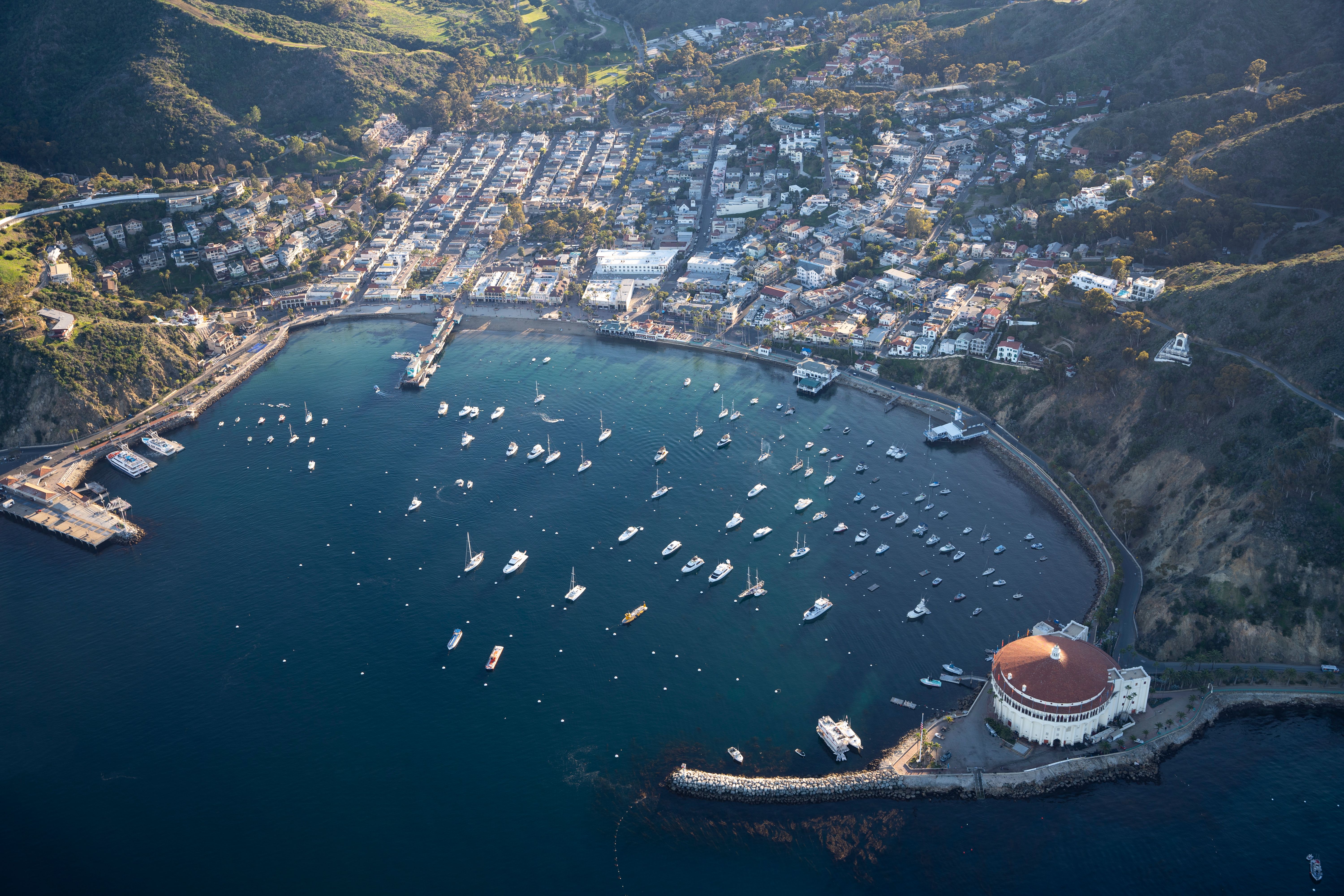 Aerial view of Avalon Harbor, Santa Catalina Island, California